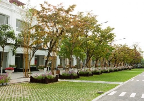 Để nền kinh tế thêm “xanh”