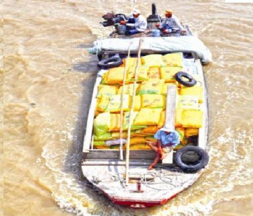 Vốn tín dụng thúc đẩy tái cơ cấu nông nghiệp