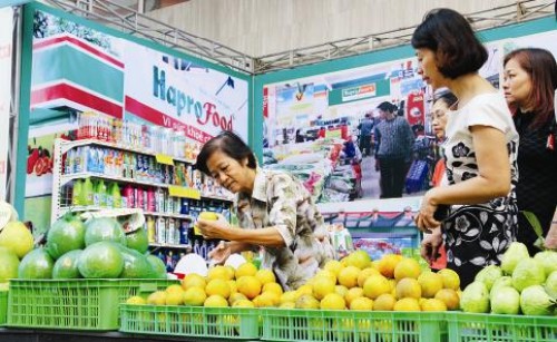 Tìm giải pháp để tham gia chuỗi giá trị Tìm giải pháp để tham gia chuỗi giá trị