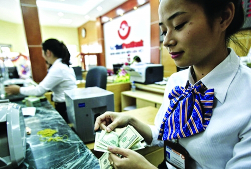 Thay đổi chính sách: Bước đi và cách làm phải rất thận trọng