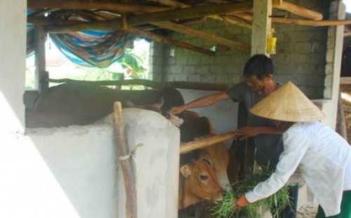 Chuyện thoát nghèo ở Hà Tĩnh Chuyện thoát nghèo ở Hà Tĩnh