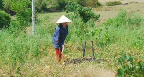 Chuyện thoát nghèo ở Hà Tĩnh Chuyện thoát nghèo ở Hà Tĩnh