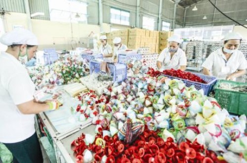 Động lực tăng trưởng ở đâu?