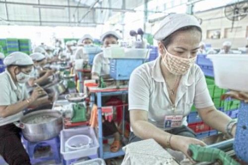 Người làm chính sách đang “bóp chết” DN nhỏ? Người làm chính sách đang “bóp chết” DN nhỏ?