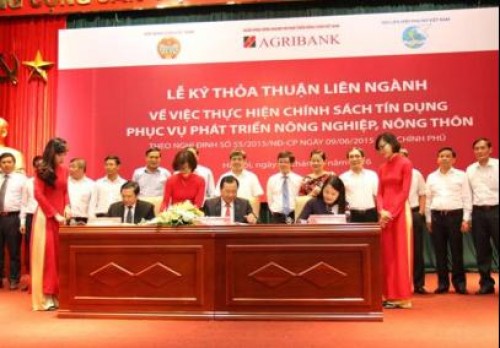 Tái cơ cấu nông nghiệp nông thôn: Đang cần thêm những cú hích