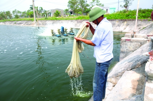 Tạo điều kiện ổn định sản xuất kinh doanh