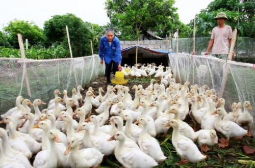 Đường dẫn vốn đến với người nghèo