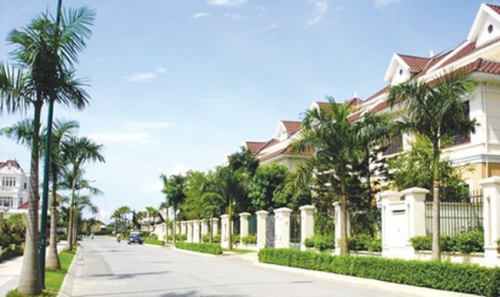 Cần mạnh tay với nạn “hoa hồng”