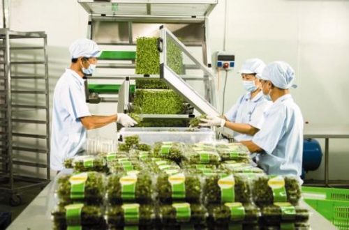 Mấu chốt là chất lượng tăng trưởng