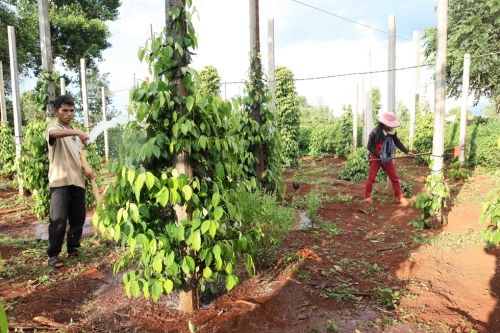 Cơ hội cho tài chính xanh phát triển