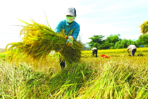 Người nghèo sẽ được tiếp cận ngân hàng di động