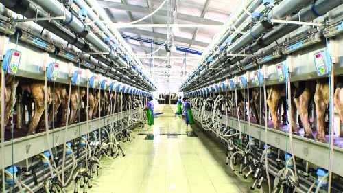 Có hay không có TPP: Việt Nam vẫn chủ động cải cách và hội nhập