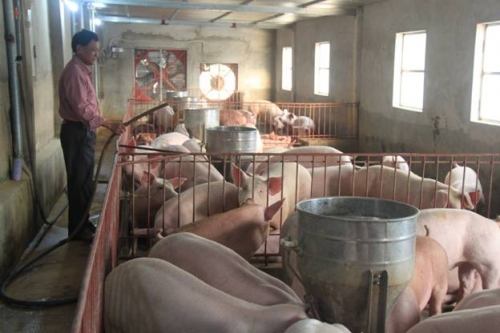 Xây dựng nông thôn mới: Cho cần câu hơn là con cá