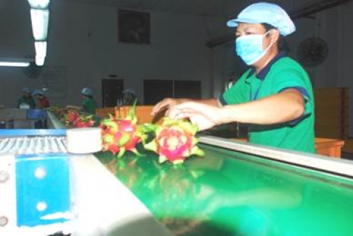 Kết nối để kích hoạt tín dụng nông nghiệp đô thị