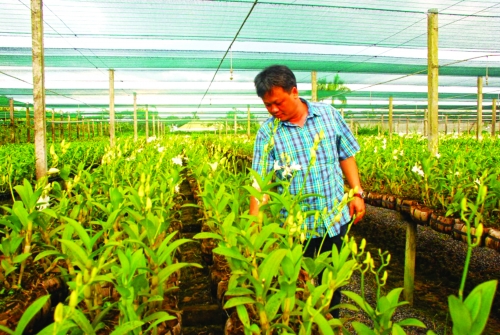 Kết nối để kích hoạt tín dụng nông nghiệp đô thị